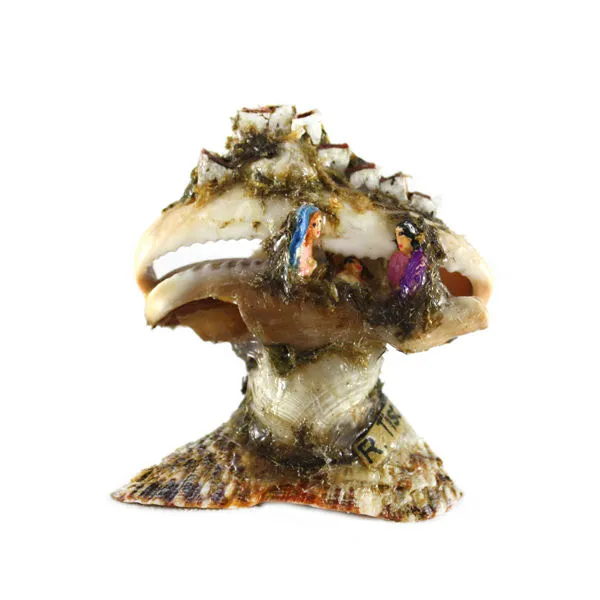 Ciprea