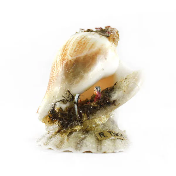 Ciprea