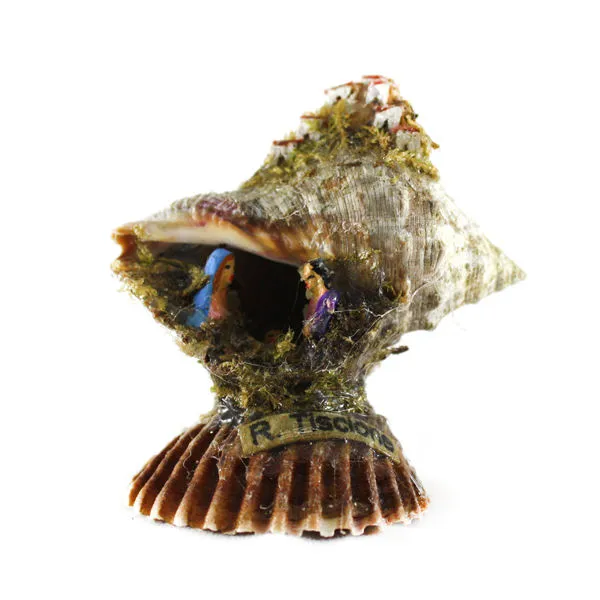 Mini Sconciglio